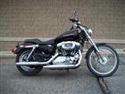 Used 2007 Harley-Davidson® Sportster® 1200 Custom
