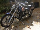 Photo of a 2002 Thunder Mountain  Gunnison Softail (FXST)