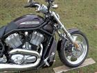 Photo of a 2005 Harley-Davidson&reg; VRSCB V-Rod&reg;