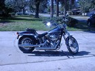 Used 2003 Harley-Davidson® Springer® Softail