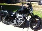 Photo of a 2009 Harley-Davidson&reg; XL 1200N Sportster 1200 Nightster&trade;