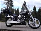 Used 2003 Harley-Davidson® Softail® Standard