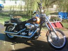 Used 2008 Harley-Davidson® Dyna® Wide Glide® 105th Anniversary Edition