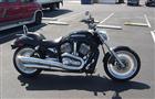 Used 2004 Harley-Davidson&reg; V-Rod&reg;