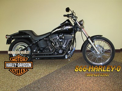 Photo of a 2003 Harley-Davidson&reg; FXSTB/I Softail&reg; Night Train&reg;