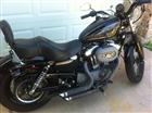 Photo of a 2009 Harley-Davidson&reg; XL 1200N Sportster 1200 Nightster&trade;
