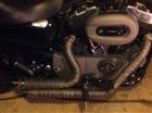 Photo of a 2009 Harley-Davidson&reg; XL 1200N Sportster 1200 Nightster&trade;