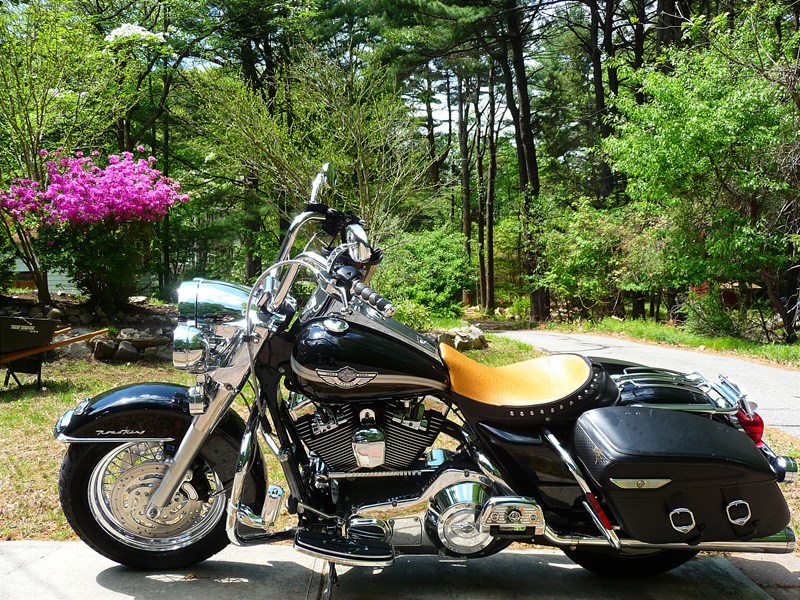 Harley Roadking Battery Location | Get Free Image About Wiring Diagram