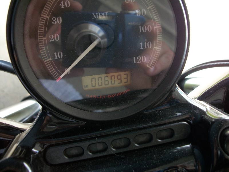 2010 HarleyDavidson® XL1200X Sportster® FortyEight (Green), Maysville, Kentucky (399299